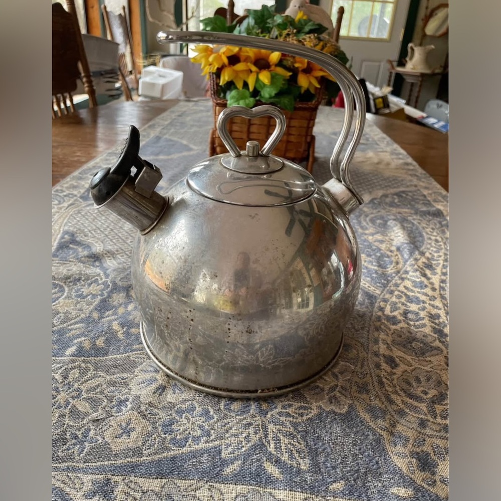 Stainless Steel Whistling Tea Kettle